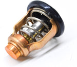 THERMOSTAT (2E4)