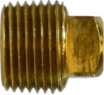 1/8  SQ HD BRASS PLUG