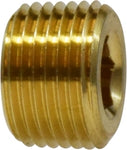 1/8  BRASS C/S   PLUG